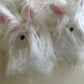 NWT Skims Bunny Slippers